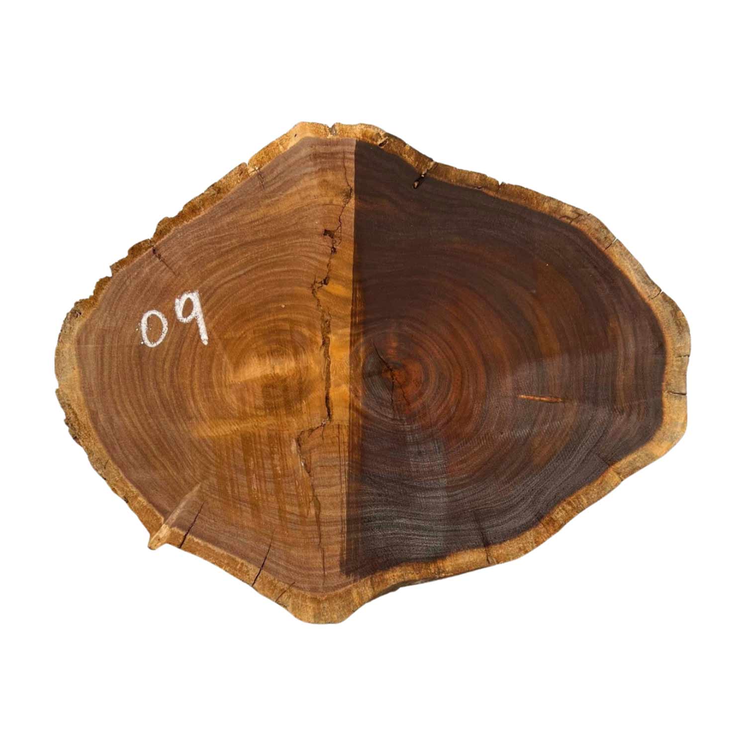 Hermosas y raras losas/galletas de borde vivo de madera negra africana - 24&quot;x24-1/2&quot;x3&quot;, 