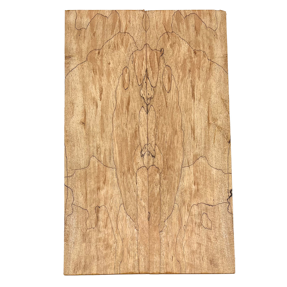 Spalted Hard Maple Drop Top 21" x 6-1/2" x 1/4" #93-A