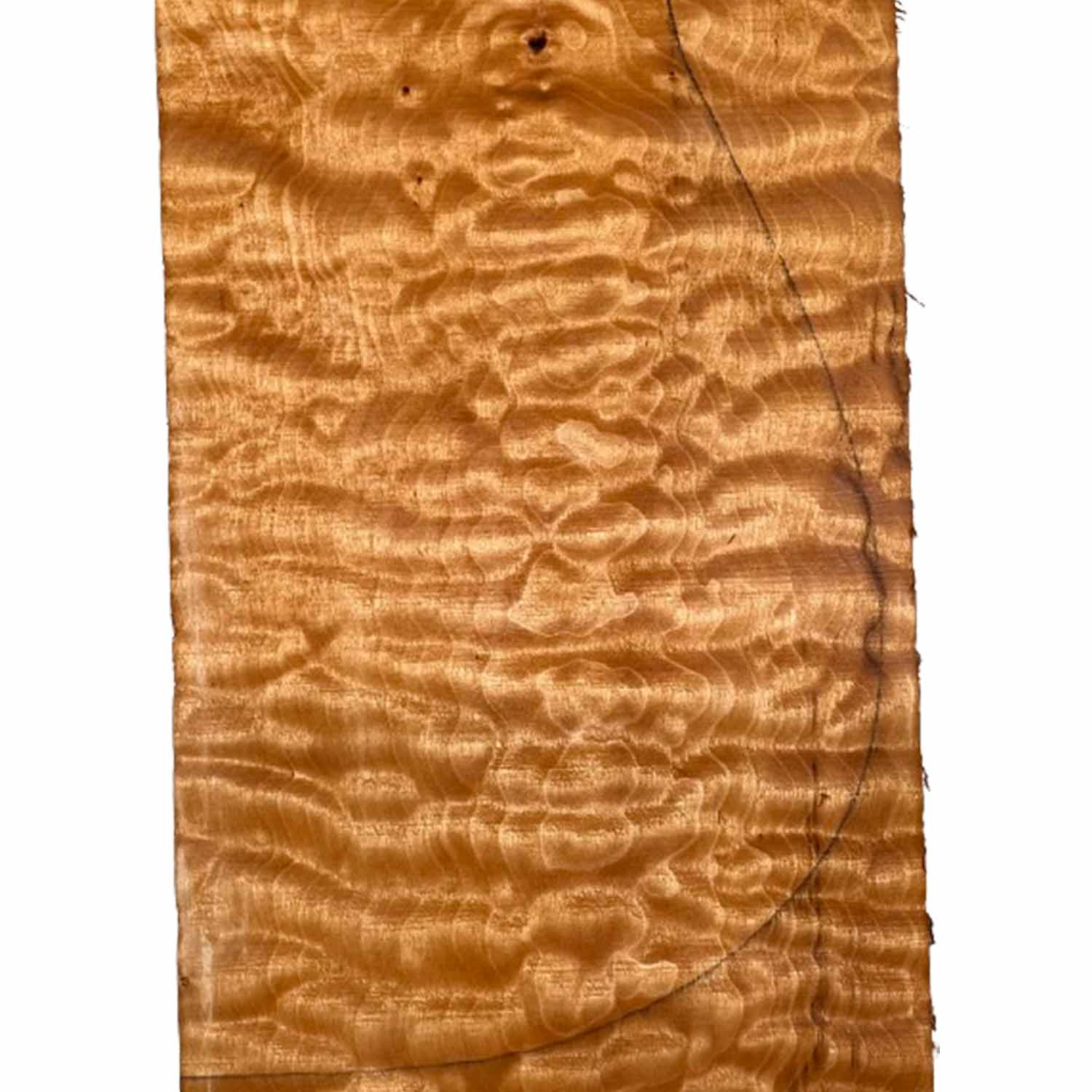 Quilted Curly Flame Maple  Drop Top 21&quot; x 6-3/4&quot; x 1/4&quot; 