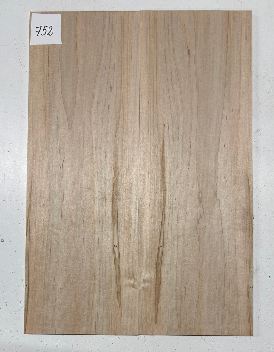 Ambrosia Maple Guitar Drop Top 22" x 7-1/4" x 3/8" #752