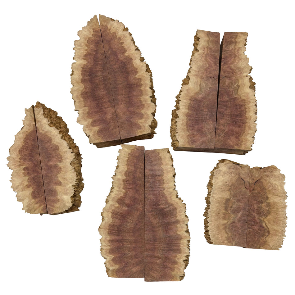 Box of Australian Red Mallee Burl Cutoffs - Bookmatched Pieces