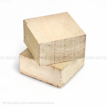 Basswood Bowl Blanks - Exotic Wood Zone - Buy online Across USA 