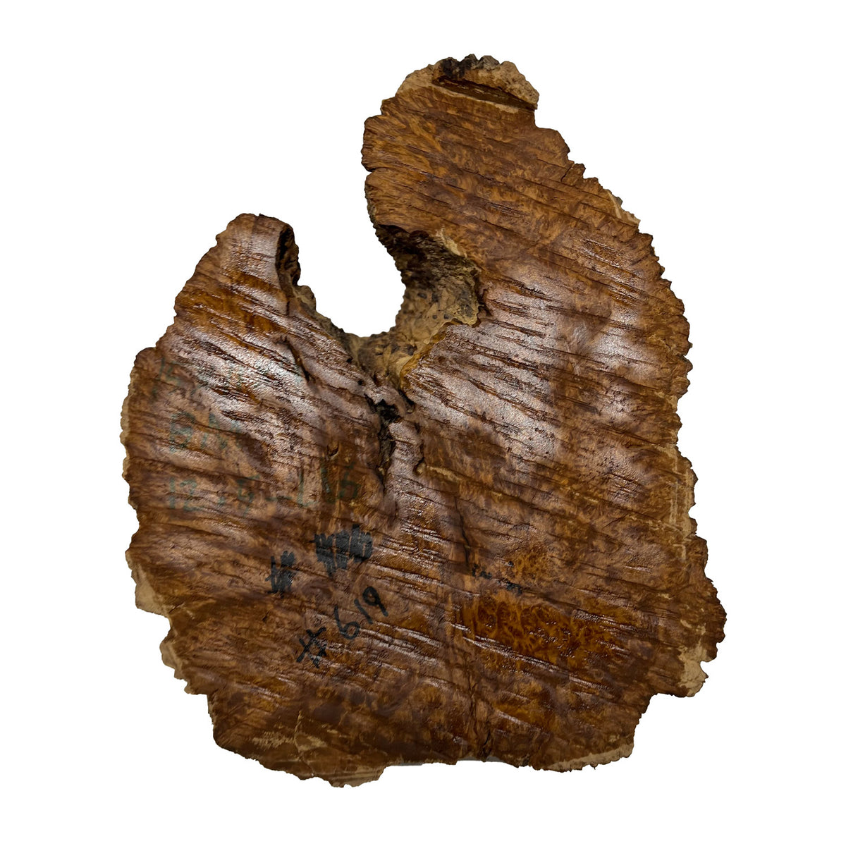 Brown Mallee Burls 15"x11"x4" |12.5 lbs | #619 - Exotic Wood Zone - Buy online Across USA 