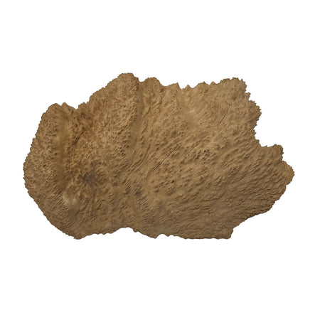 Brown Mallee Burls17"x11"x3" 13.5 lbs |  #620 - Exotic Wood Zone - Buy online Across USA 