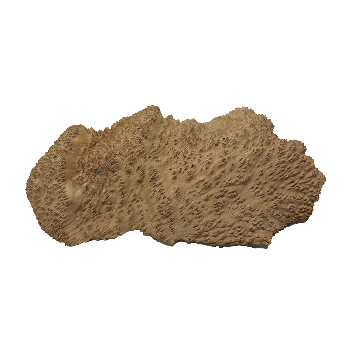 Brown Mallee Burls17"x11"x3" 13.5 lbs |  #620 - Exotic Wood Zone - Buy online Across USA 