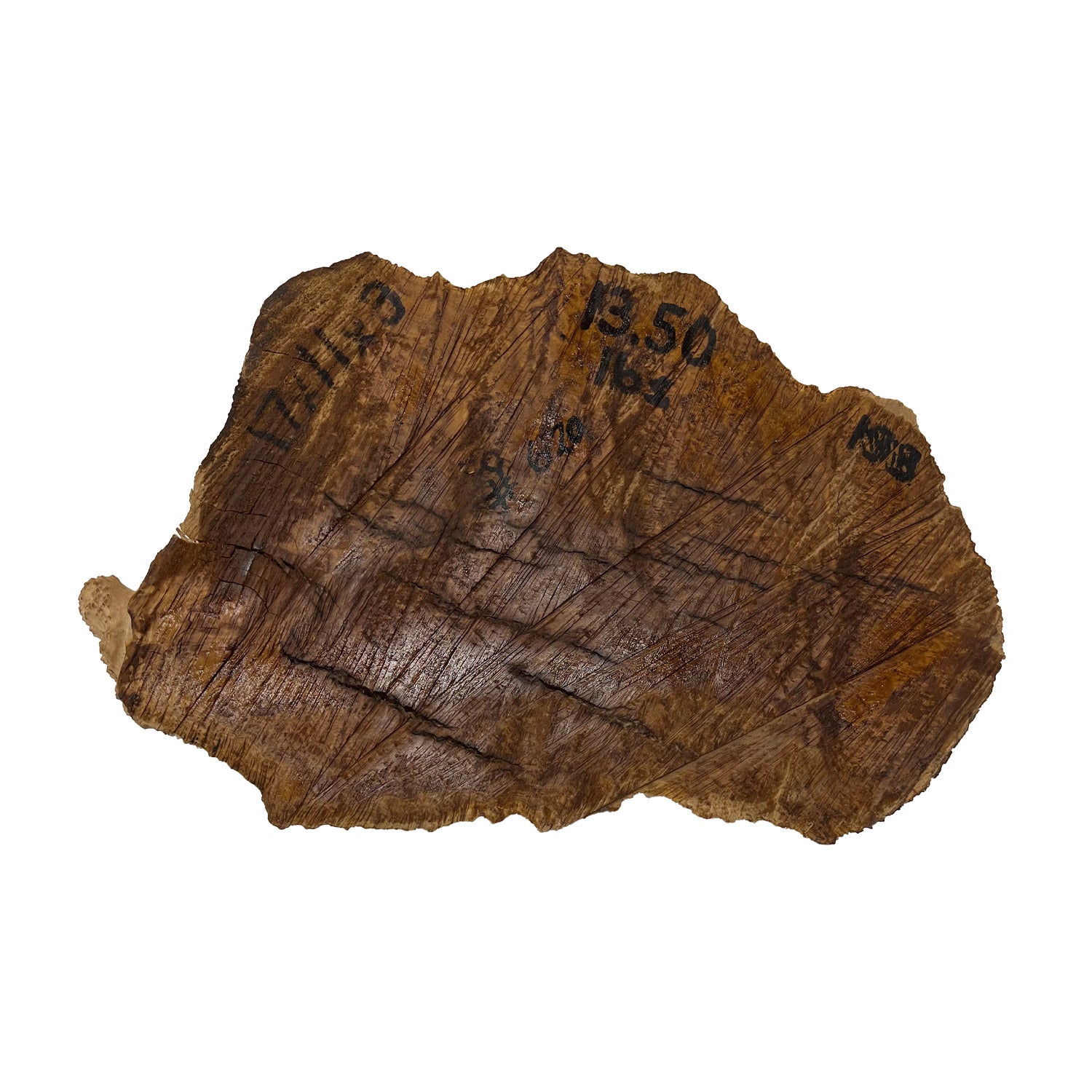 Brown Mallee Burls17"x11"x3" 13.5 lbs |  #620 - Exotic Wood Zone - Buy online Across USA 