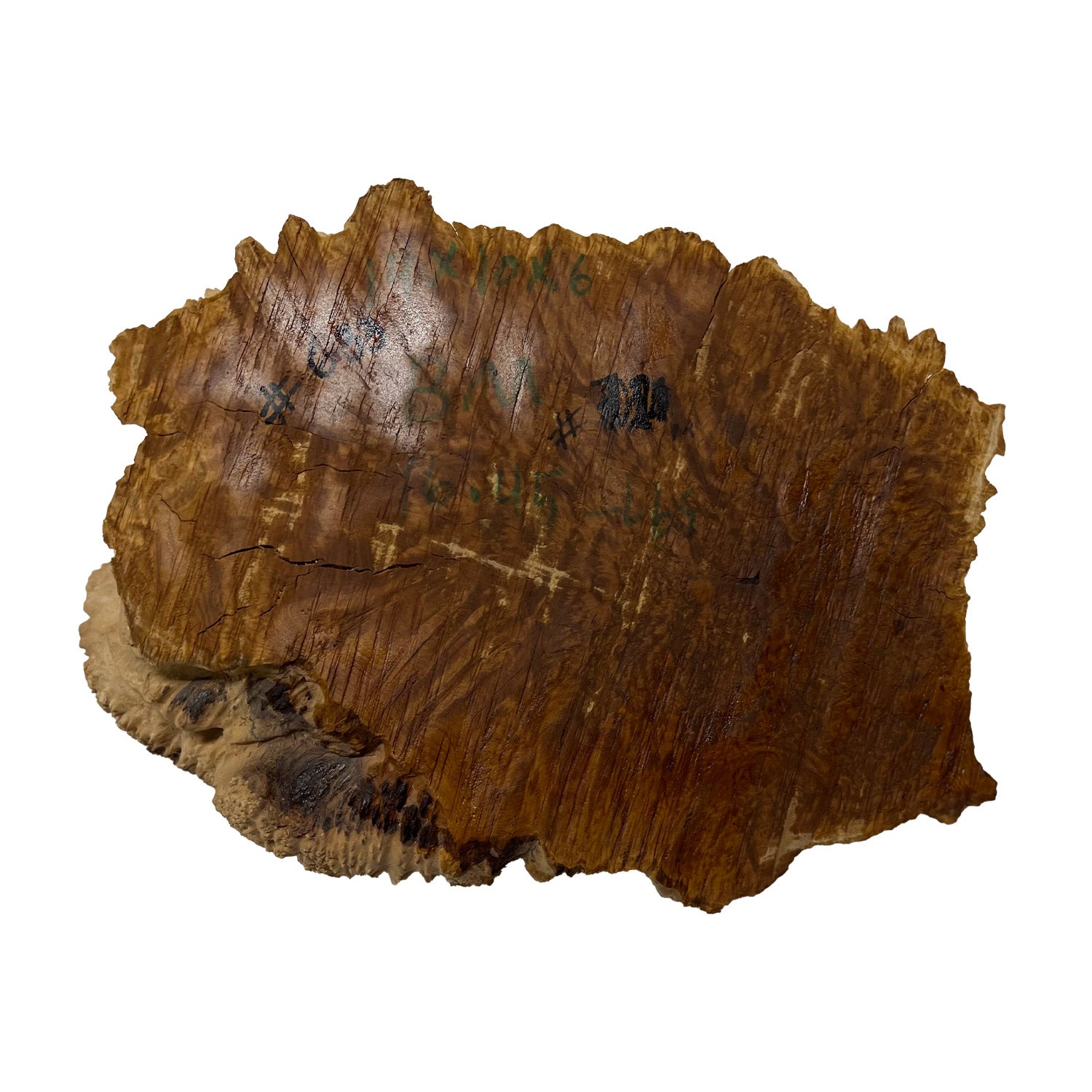 Brown Mallee Burls 14"x10"x6" 16.45 lbs |  #633 - Exotic Wood Zone - Buy online Across USA 