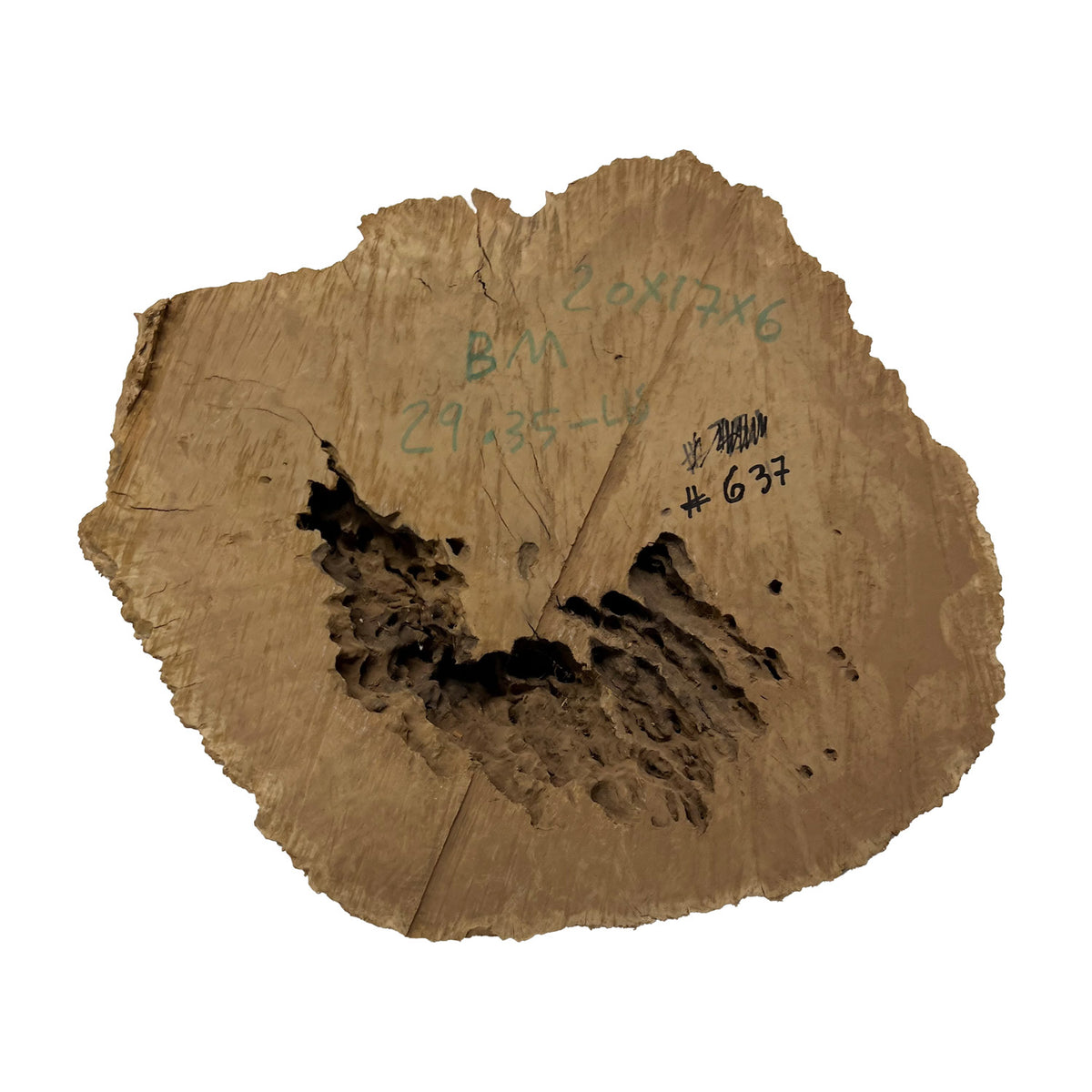 Brown Mallee Burls 20"x17"x6" 29.35 Lbs |  #637 - Exotic Wood Zone - Buy online Across USA 