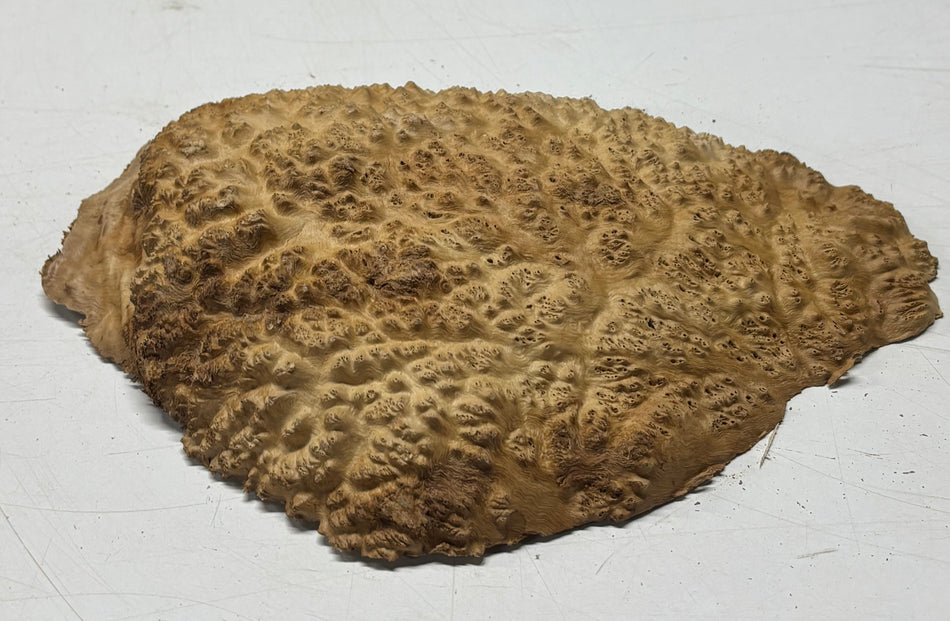 Brown Mallee Burl Blank 10" x 6.5" x 2" 2.1 Lbs #6015