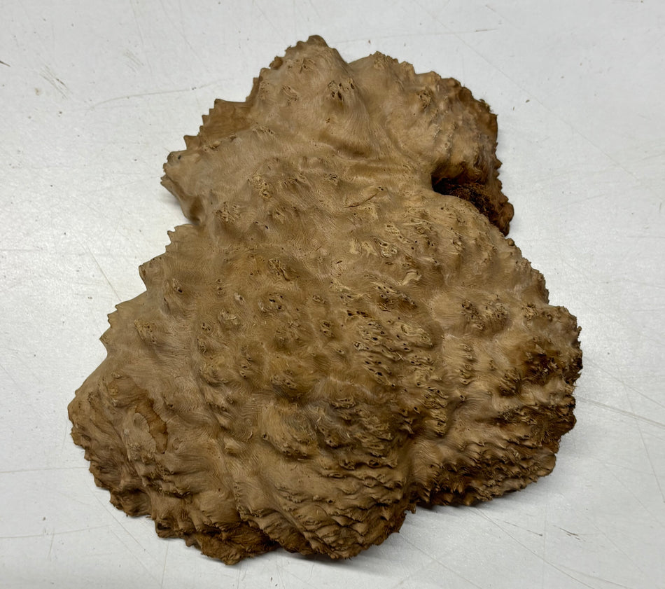 Brown Mallee Burl Blank 6" x 5" x 1.5" 1.7 Lbs #6027