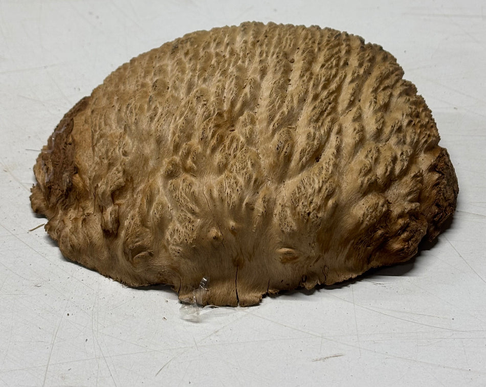 Brown Mallee Burl Blank 6" x 5.5" x 2" 1.1 Lbs #6028