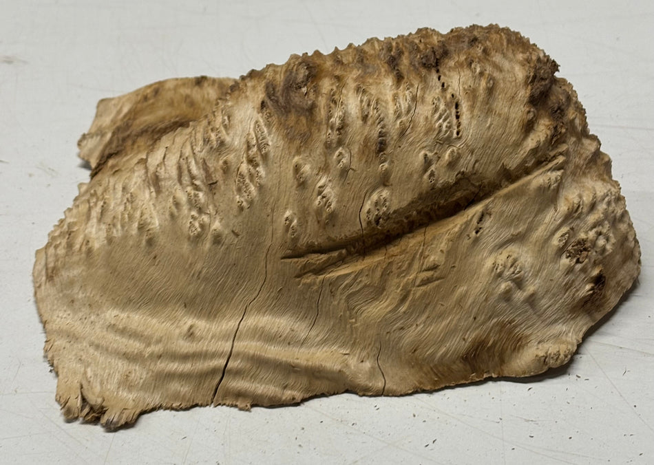 Brown Mallee Burl Blank 8" x 6" x 2" 2.8 Lbs #6029