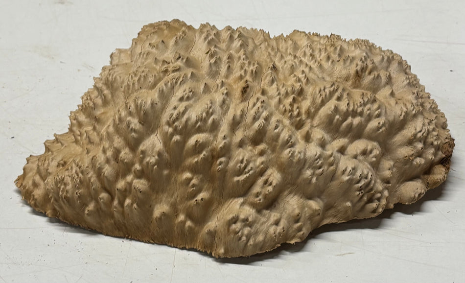 Brown Mallee Burl Blank 9" x 6" x 2" 3.4 Lbs #6031