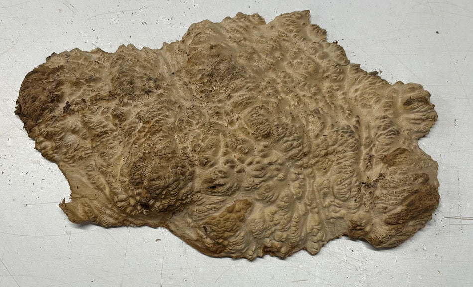 Brown Mallee Burl Blank 10" x 5" x 1" 1.7 Lbs #6034