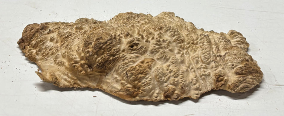 Brown Mallee Burl Blank 10" x 5" x 1" 1.7 Lbs #6034