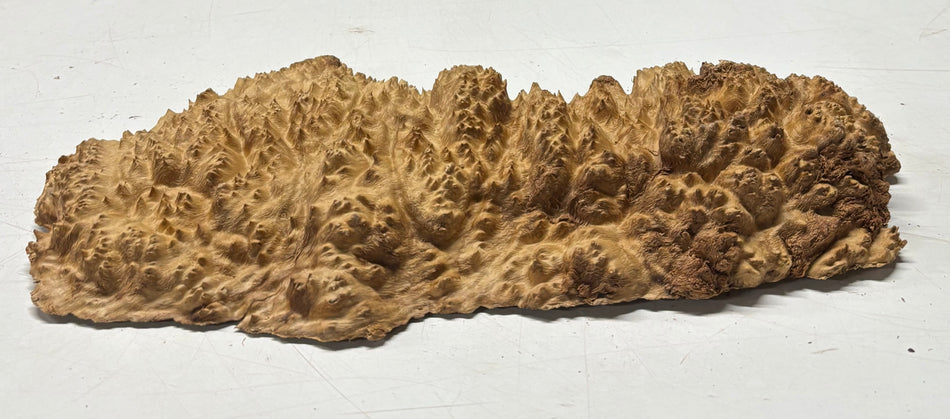 Brown Mallee Burl Blank 15" x 7" x 2" 3.4 Lbs #6043