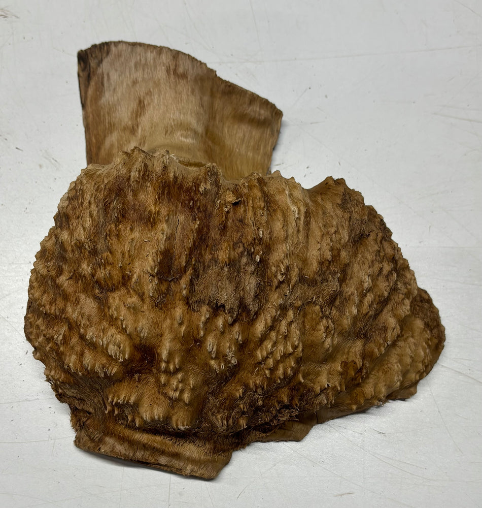 Brown Mallee Burl Blank 9" x 8" x 3.5" 3.5 Lbs #6044