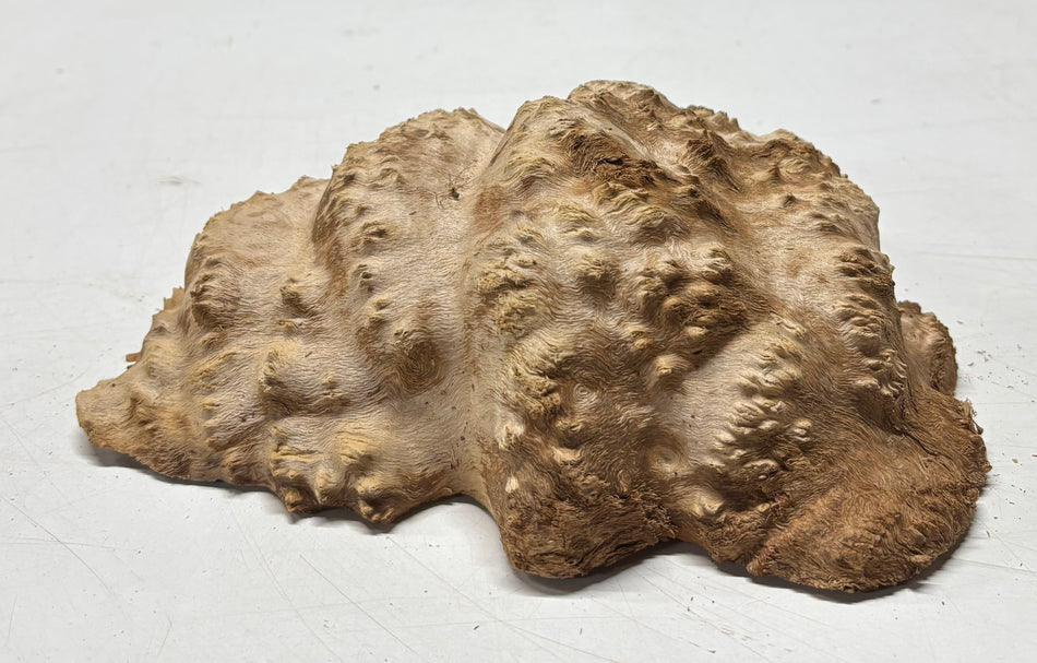 Brown Mallee Burl Blank 9" x 6.5" x 3" 3 Lbs #6047