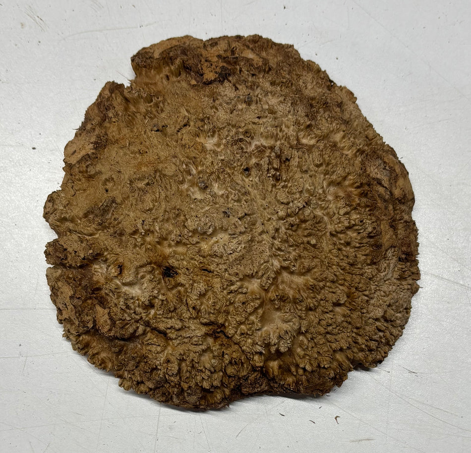 Brown Mallee Burl Blank 6" x 5" x 1.5" 1.5 Lbs #6056