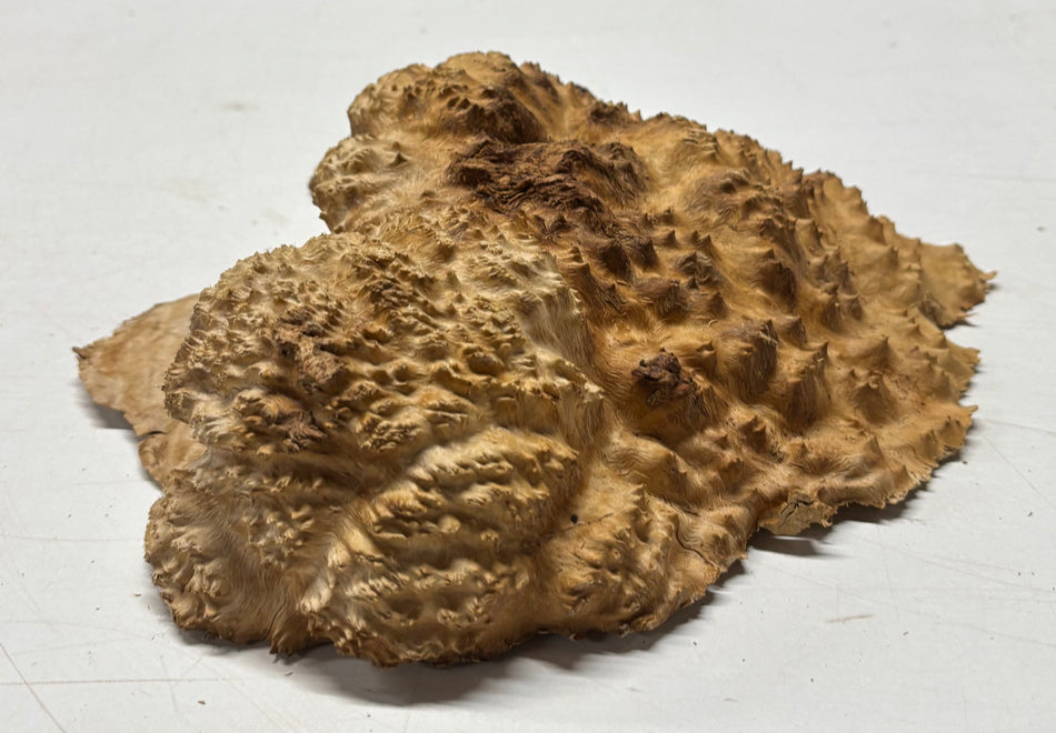 Brown Mallee Burl Blank 9.5" x 9.5" x 3"  3.3 Lbs #6058