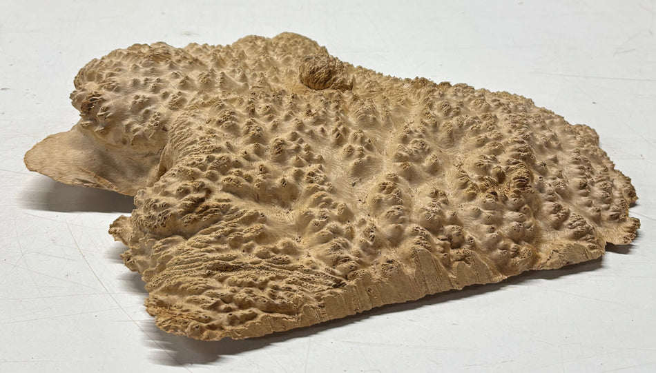 Brown Mallee Burl Blank 13" x 10.5" x 2" 4.5 Lbs #6066