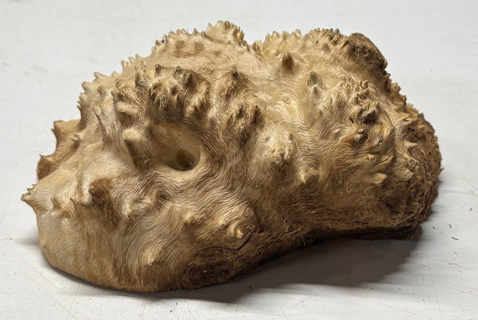 Brown Mallee Burl Blank 6.5" x 4.5" x 2" 1.6 Lbs #6070