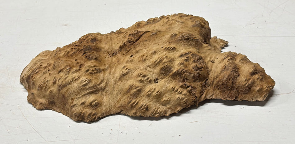 Brown Mallee Burl Blank 11" x 6" x 1.5" 4.3 Lbs #6077