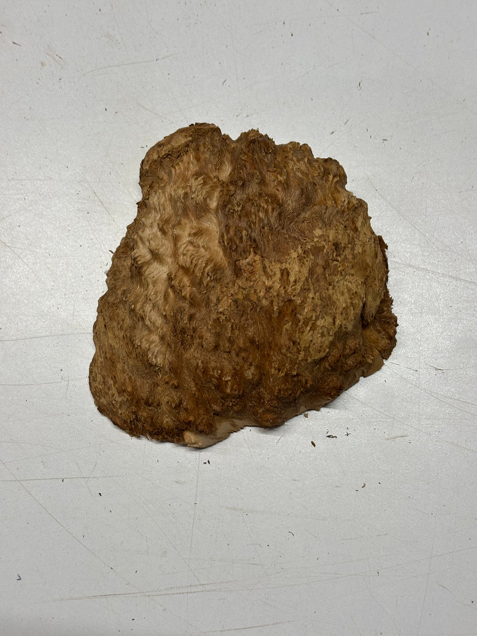 Brown Mallee Burl Blank 5" x 5" x 1.5" 1.3 Lbs #6078