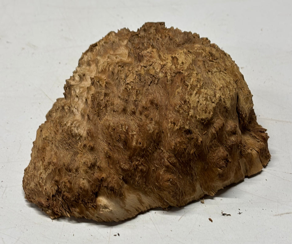 Brown Mallee Burl Blank 5" x 5" x 1.5" 1.3 Lbs #6078