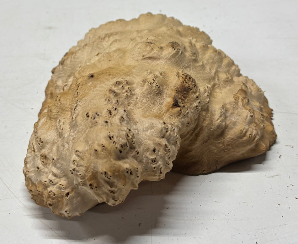 Brown Mallee Burl Blank 10" x 8" x 3" 4.1 Lbs #6091