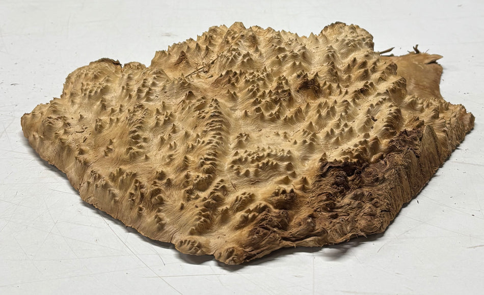 Brown Mallee Burl Blank 12" x 8" x 2" 3.3 Lbs #6105