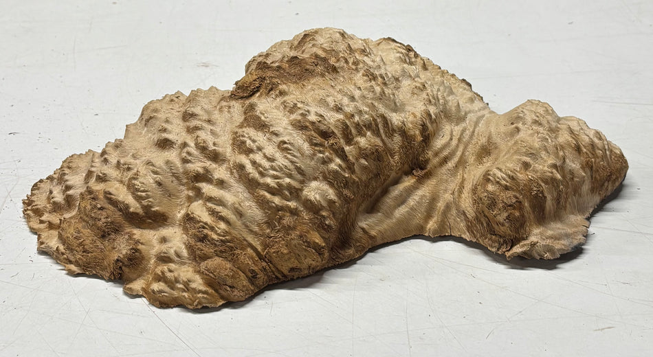 Brown Mallee Burl Blank 13" x 6" x 3" 3.9 Lbs #6107