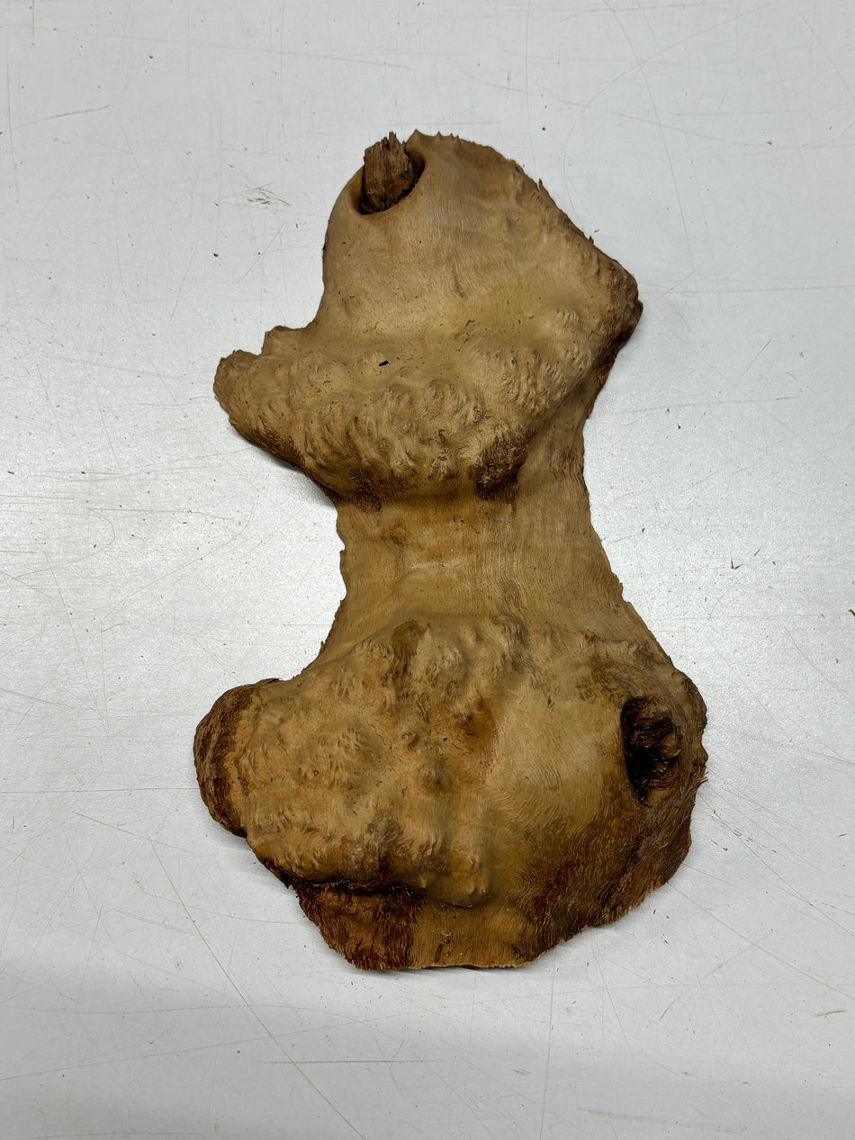 Brown Mallee Burl Blank 10" x 4" x 2" 1.8 Lbs #6112