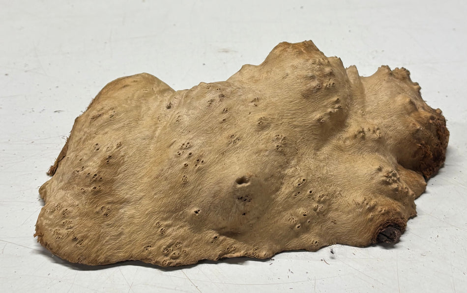 Brown Mallee Burl Blank 9" x 4.5" x 2" 2.2 Lbs #6113