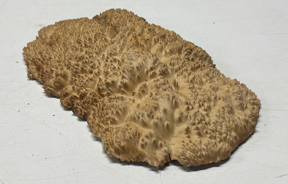 Brown Mallee Burl Blank 11" x 6" x 1" 1.7 Lbs #6115