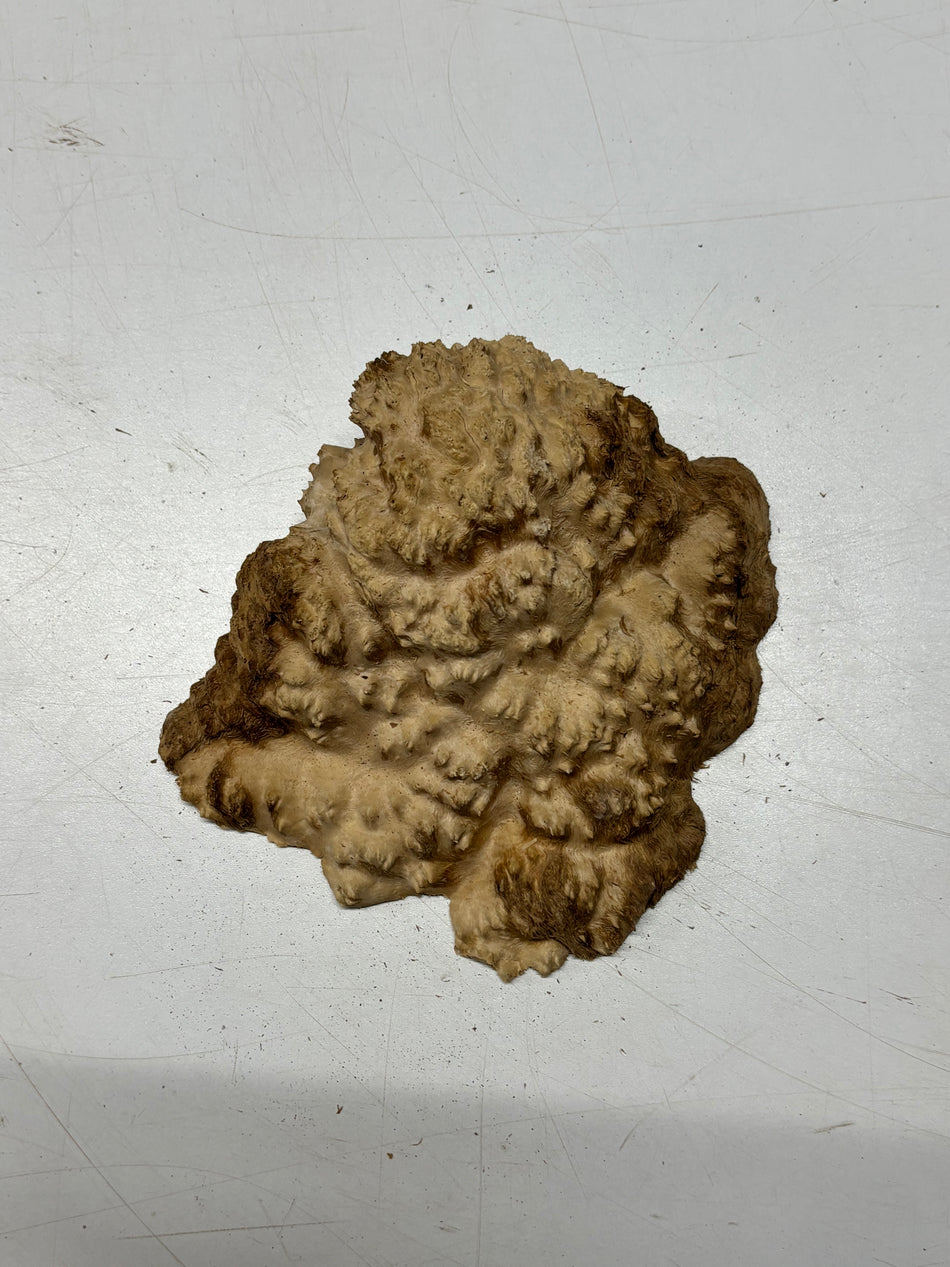 Brown Mallee Burl Blank 6" x 5" x 2" 1.1 Lbs #6116