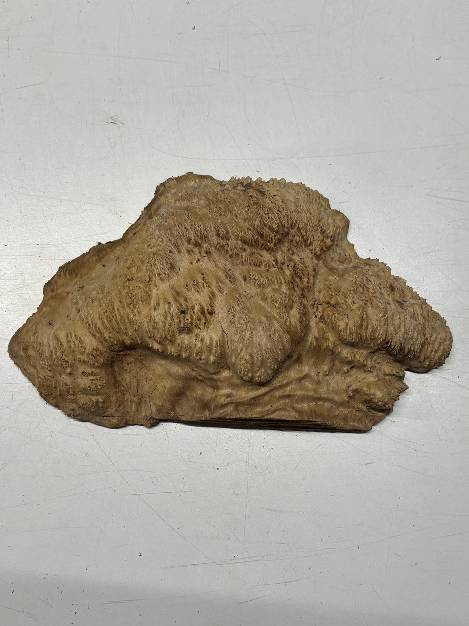 Brown Mallee Burl Blank 13" x 7.5" x 3" 4.1 Lbs #6117