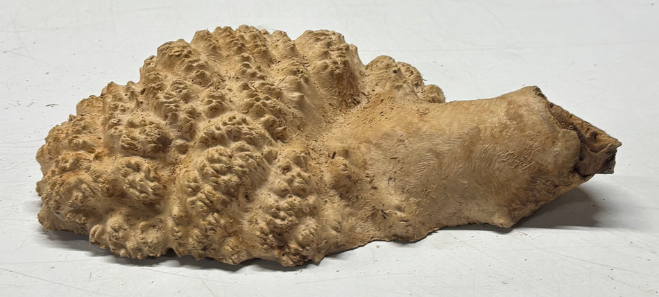 Brown Mallee Burl Blank 9.5" x 4.5" x 2" 2.1 Lbs #6118