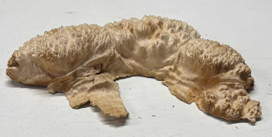 Brown Mallee Burl Blank 10" x 5" x 2" 1.9 Lbs #6128