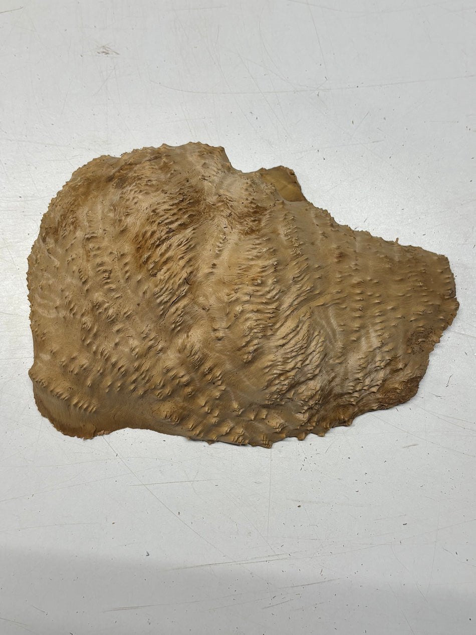 Brown Mallee Burl Blank 11" x 7" x 3" 4.4 Lbs #6132