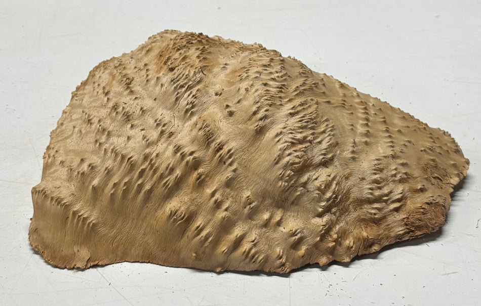 Brown Mallee Burl Blank 11" x 7" x 3" 4.4 Lbs #6132