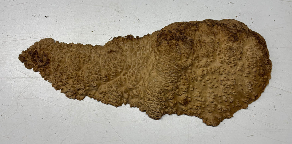 Brown Mallee Burl Blank 14" x 5" x 2" 1.9 Lbs #6133