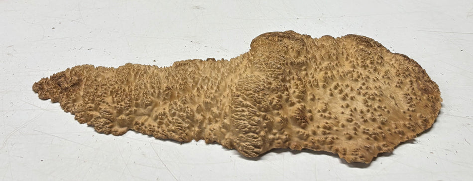 Brown Mallee Burl Blank 14" x 5" x 2" 1.9 Lbs #6133