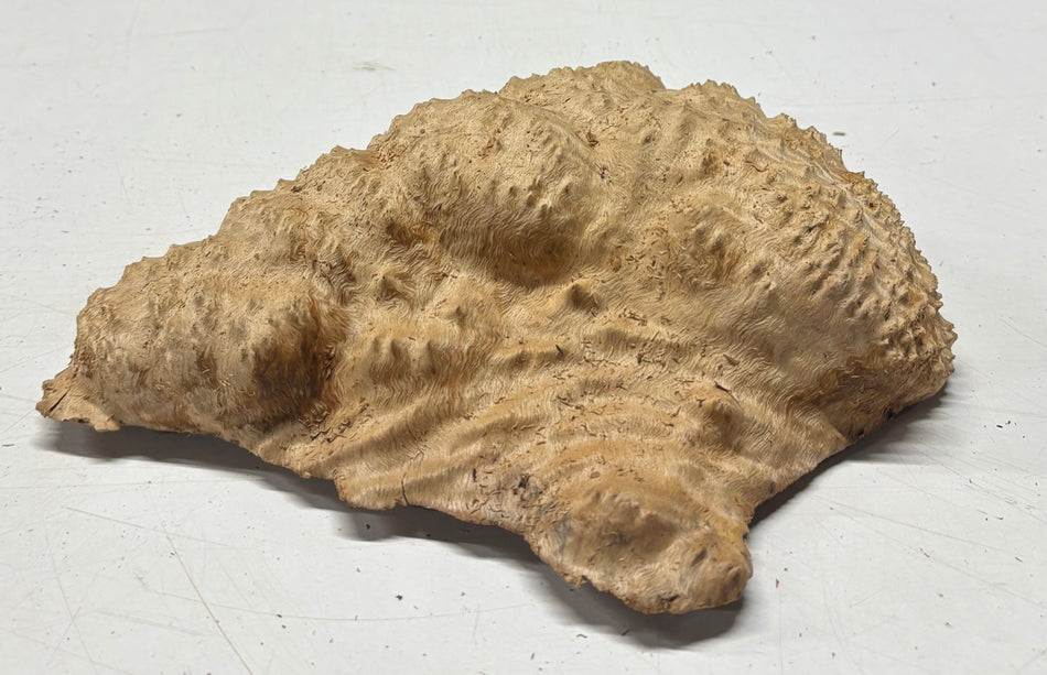 Brown Mallee Burl Blank 9" x 7" x 3" 2.1 Lbs #6155