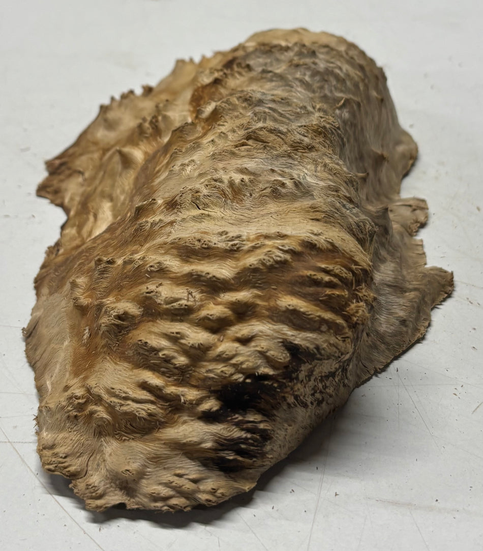 Brown Mallee Burl Blank 9" x 5" x 2" 1.3 Lbs #6157