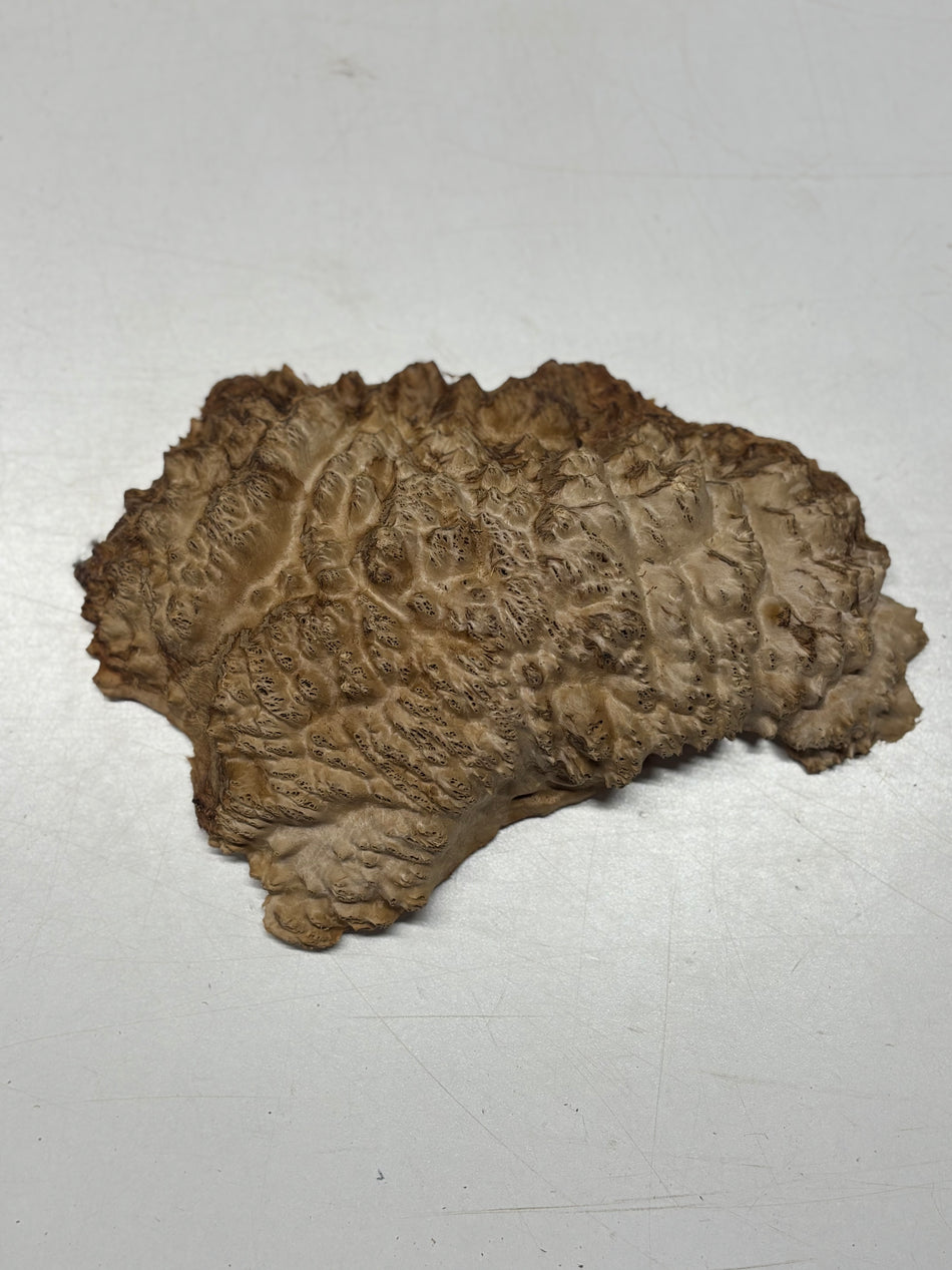 Brown Mallee Burl Blank 9" x 6" x 2" 2 Lbs #6172