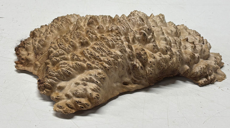 Brown Mallee Burl Blank 9" x 6" x 2" 2 Lbs #6172