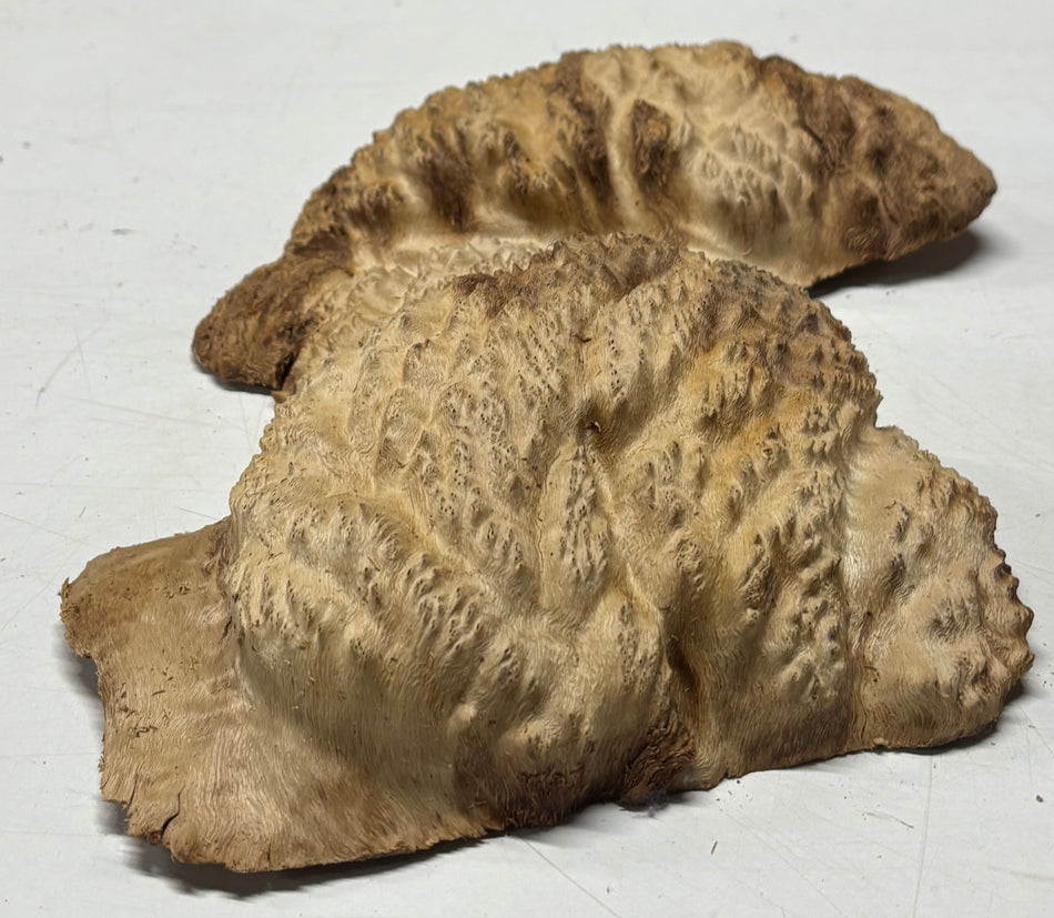 Brown Mallee Burl Blank 11" x 6" x 1.5" 2.4 Lbs #6181