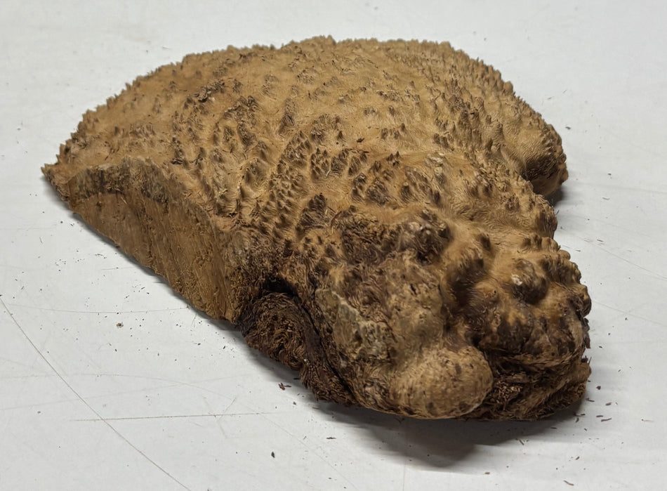 Brown Mallee Burl Blank 9" x 6" x 1" 1.7 Lbs #6182