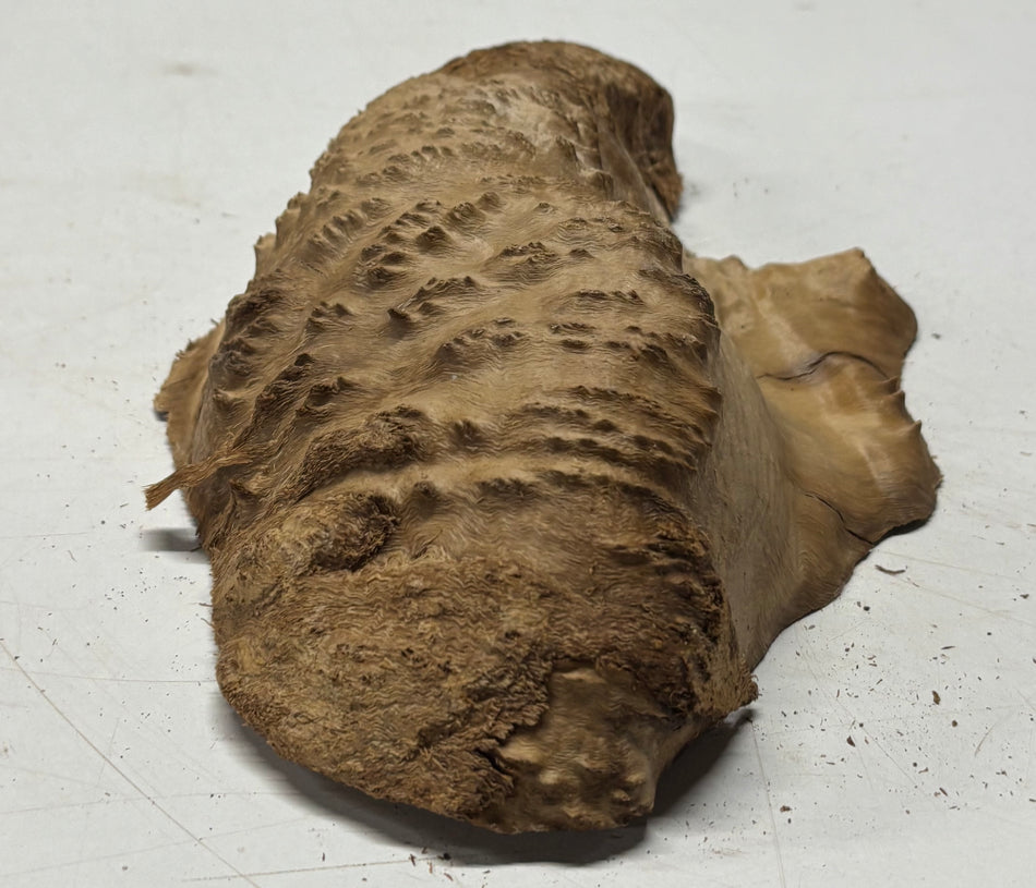 Brown Mallee Burl Blank 10" x 6" x 3" 2.1 Lbs #6183